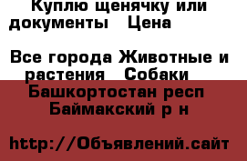 Куплю щенячку или документы › Цена ­ 3 000 - Все города Животные и растения » Собаки   . Башкортостан респ.,Баймакский р-н